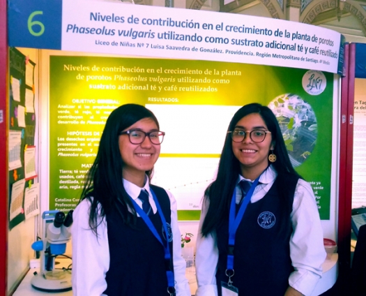 FERIA CIENCIAS